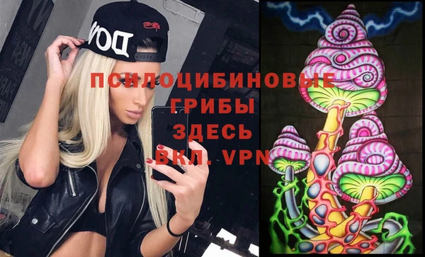 тгк Баксан